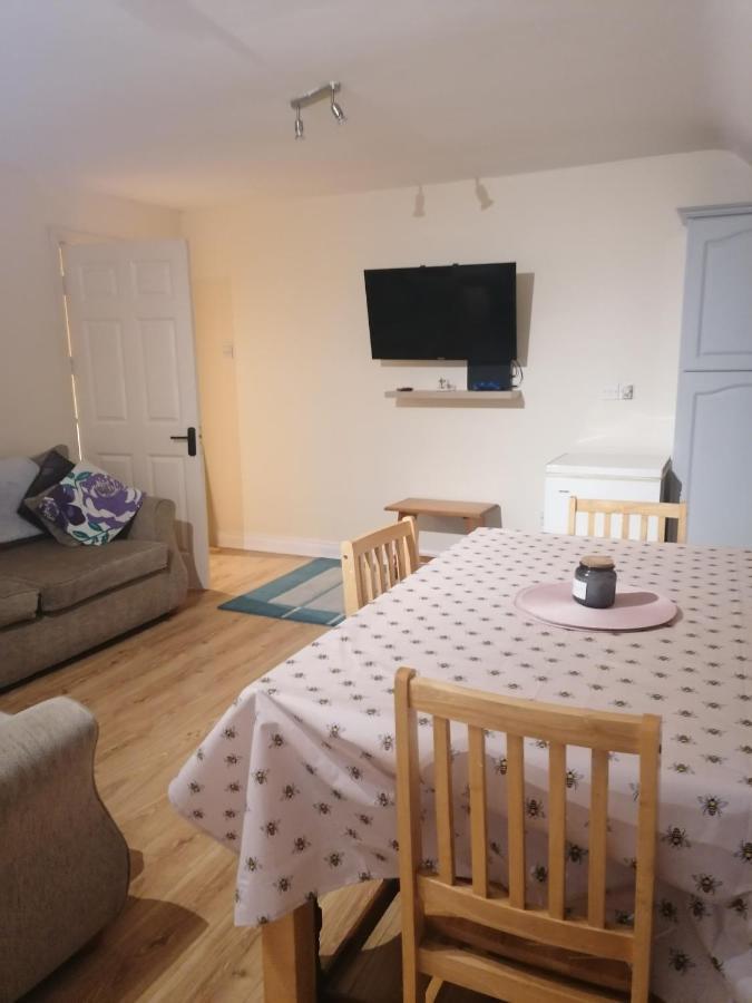 Apartament Barrow Mews Views Carlow Zewnętrze zdjęcie